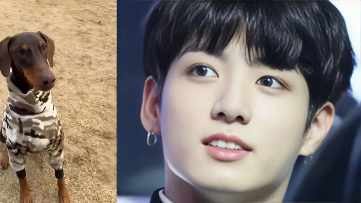 Jungkook Shares Heartwarming Video of His Dog Bam